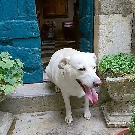 La Belle Endormie Maison d'hôtes Cabrerolles